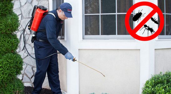 Bayraklı Kemirgen İlaçlama böcek ilaçlama ve haşere kontrolü — ilaclama-tr.com